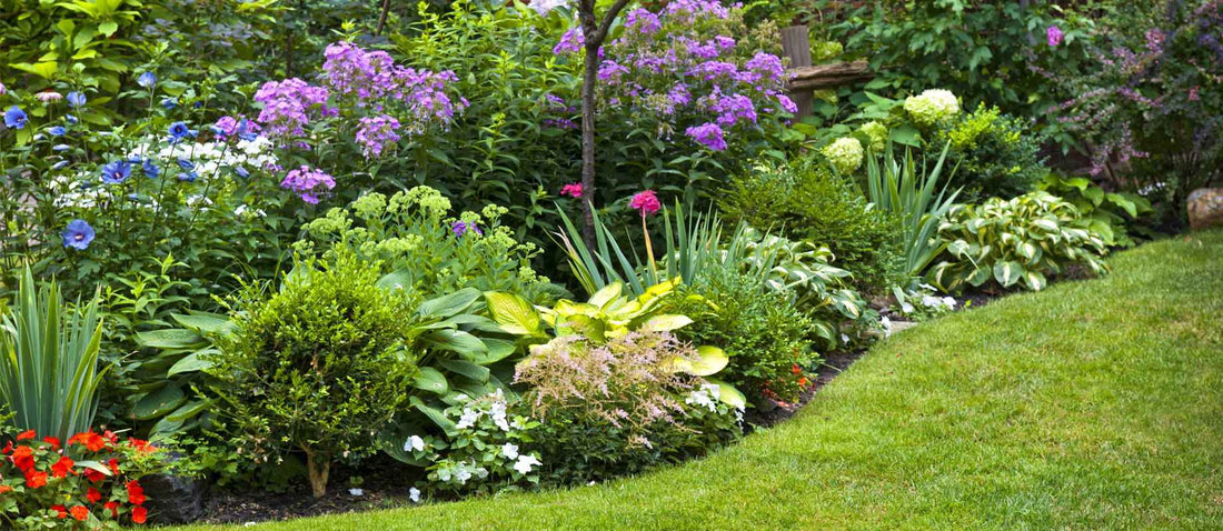 aménager un parterre dans son jardin