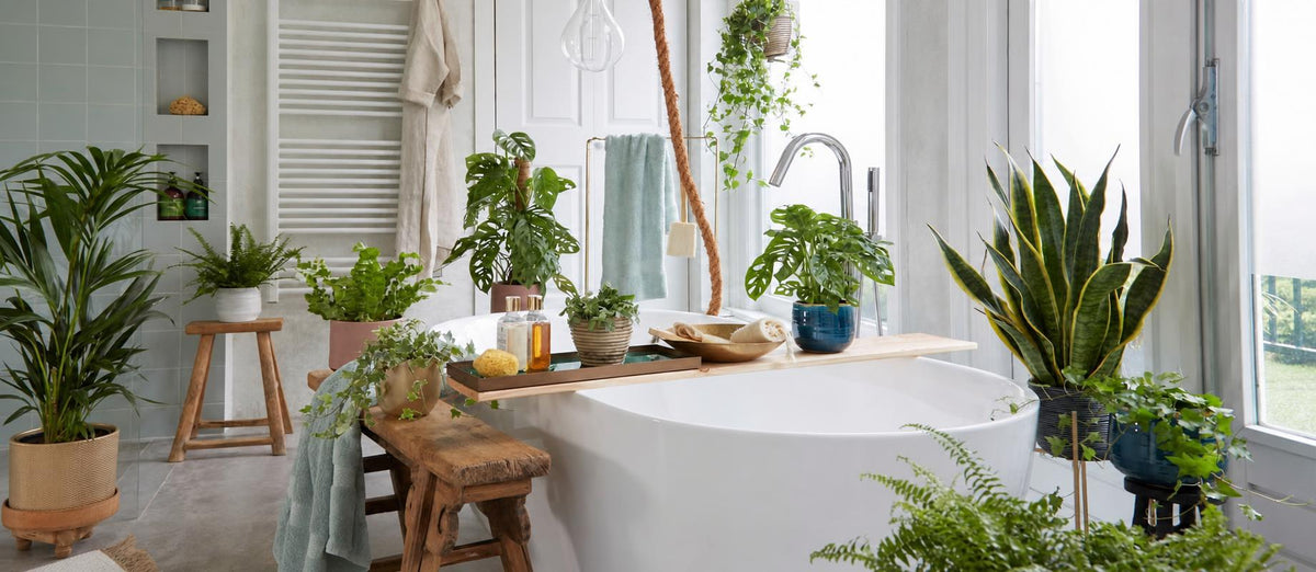 salle de bain décorée avec des plantes vertes