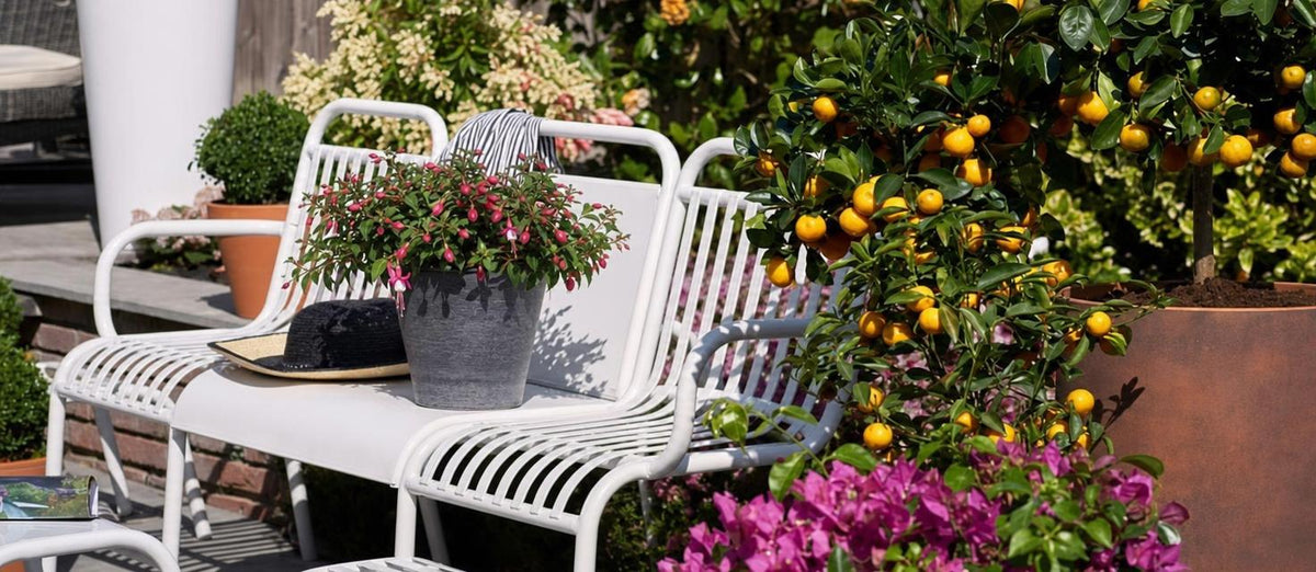Vivez dehors: choisissez votre tendance jardin pour l'été! - Bakker.com | France
