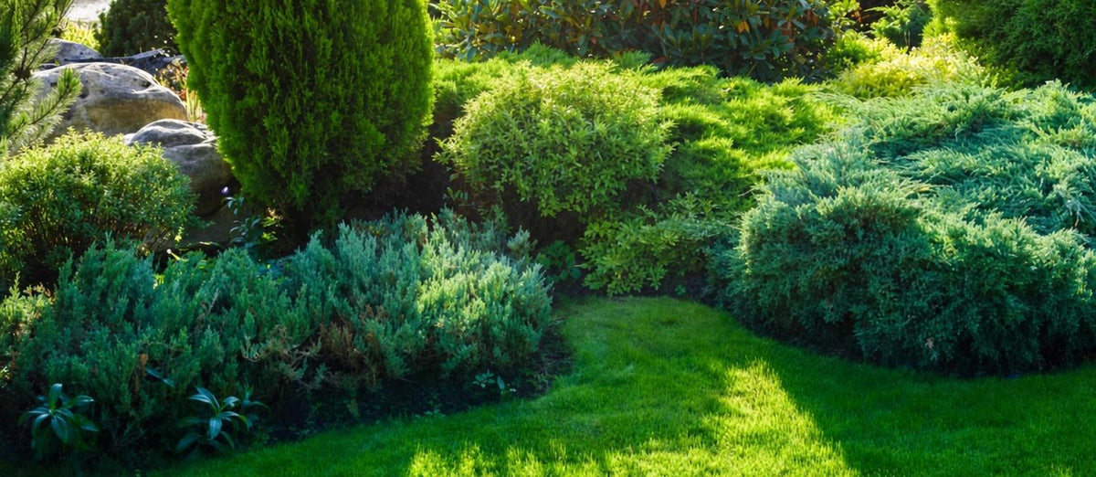 Un jardin vert toute l'année! - Bakker.com | France