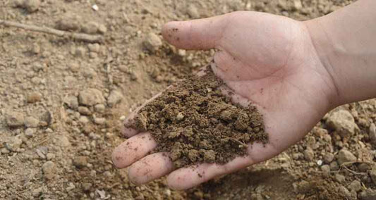 types de sol et fertilisation
