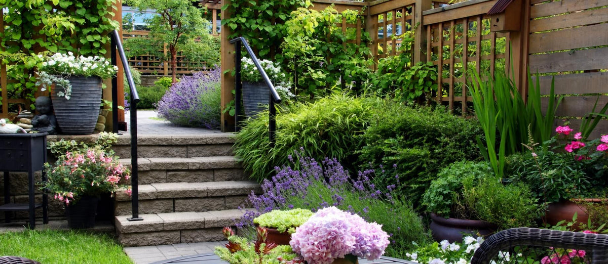 top 10 des plantes de jardin à croissance rapide
