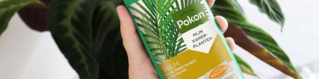 Engrais pour plantes d'intérieur