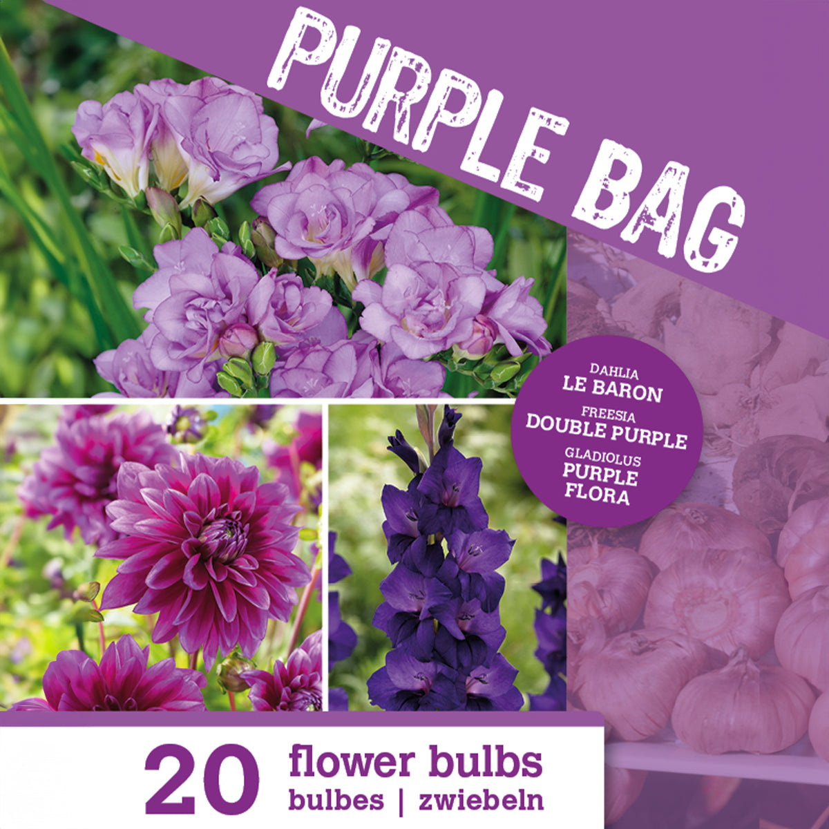 Pack de bulbes pour bordure - 20 Bulbes de fleurs The Purple Bag en mélange - Dahlia, gladiolus, freesia