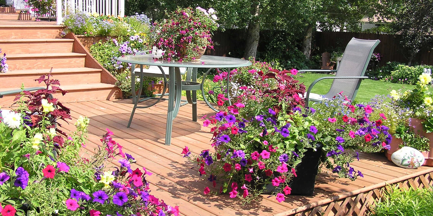 Terrasse & Balcons : une explosion de couleurs !