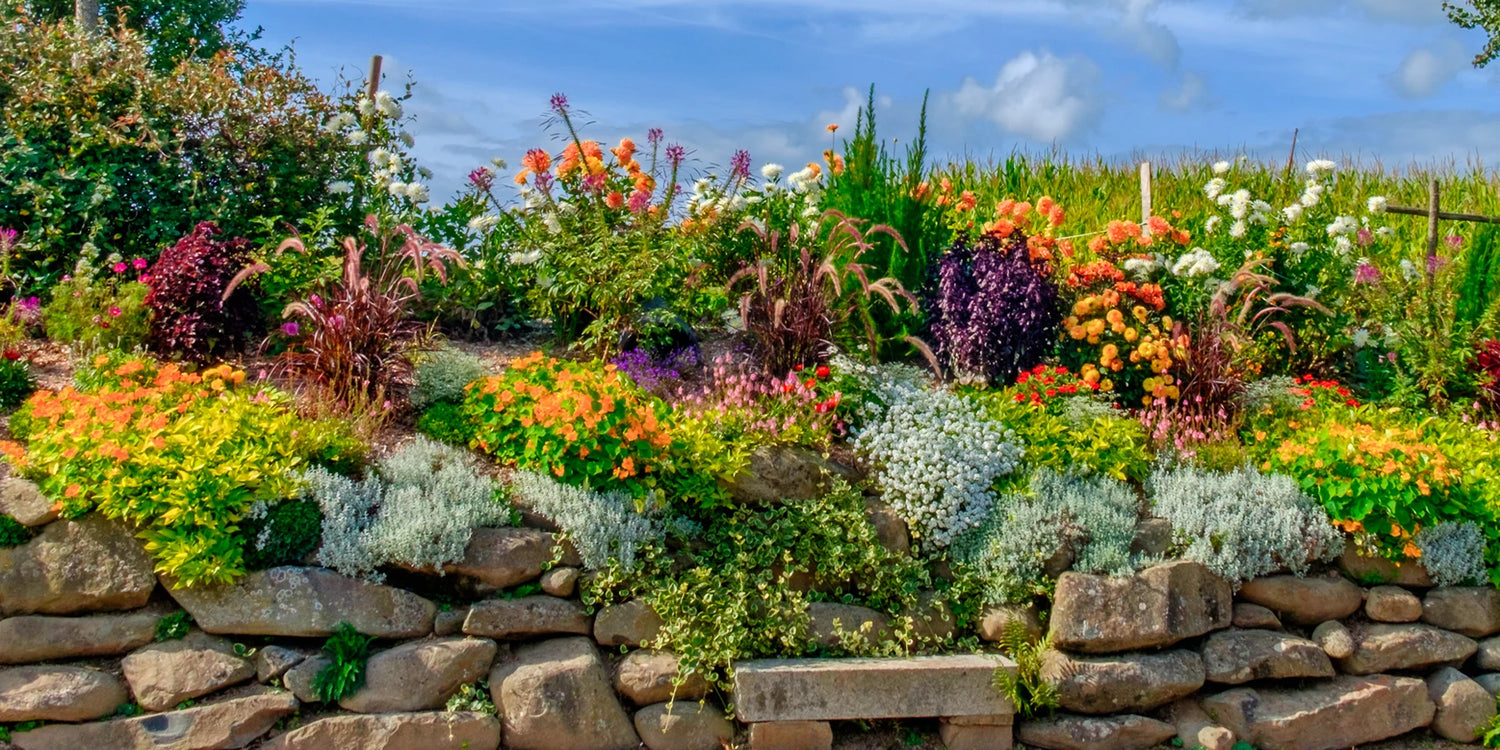 Green Days jusqu'à -50%