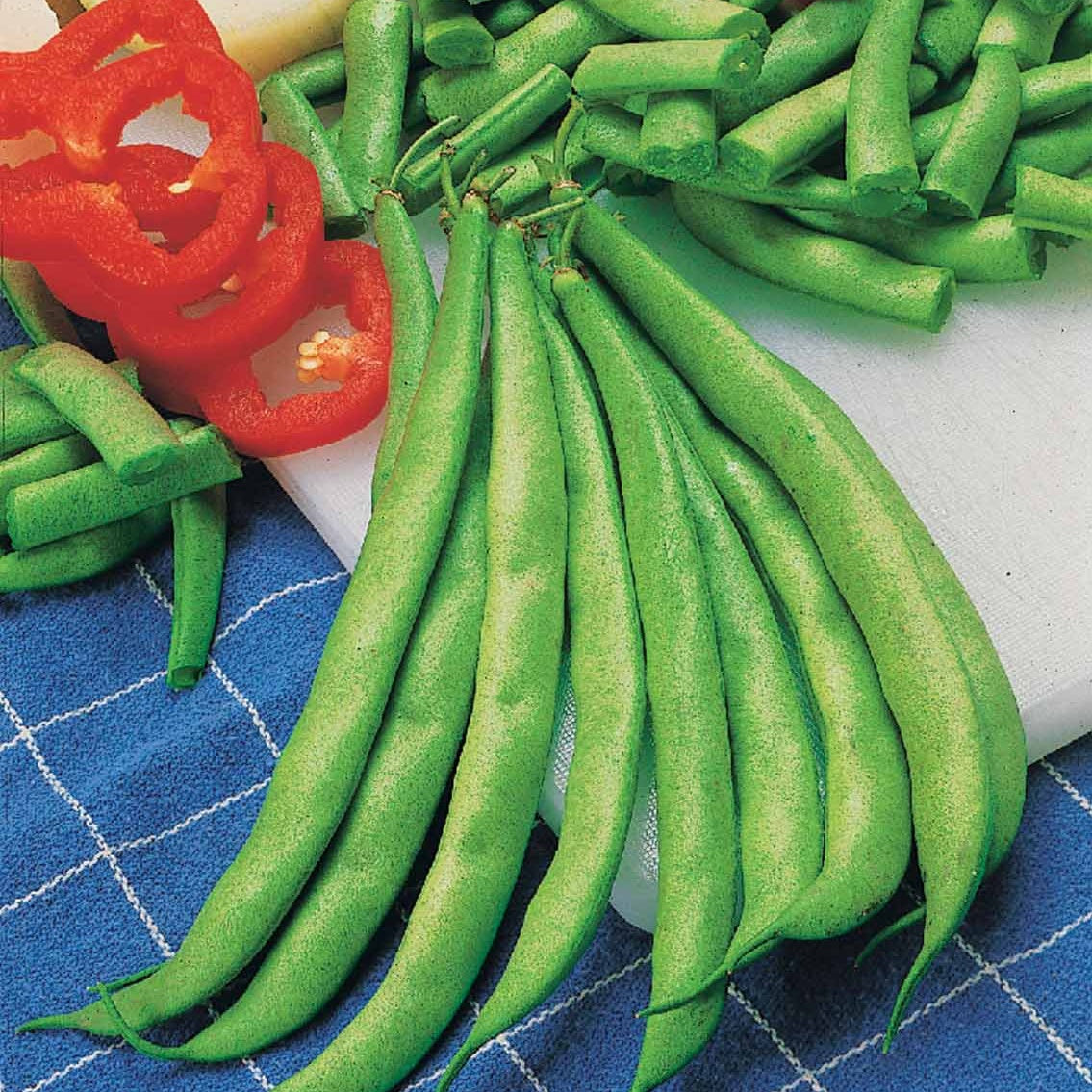 Haricot nain mangetout Contender - Phaseolus vulgaris Contender - Bakker