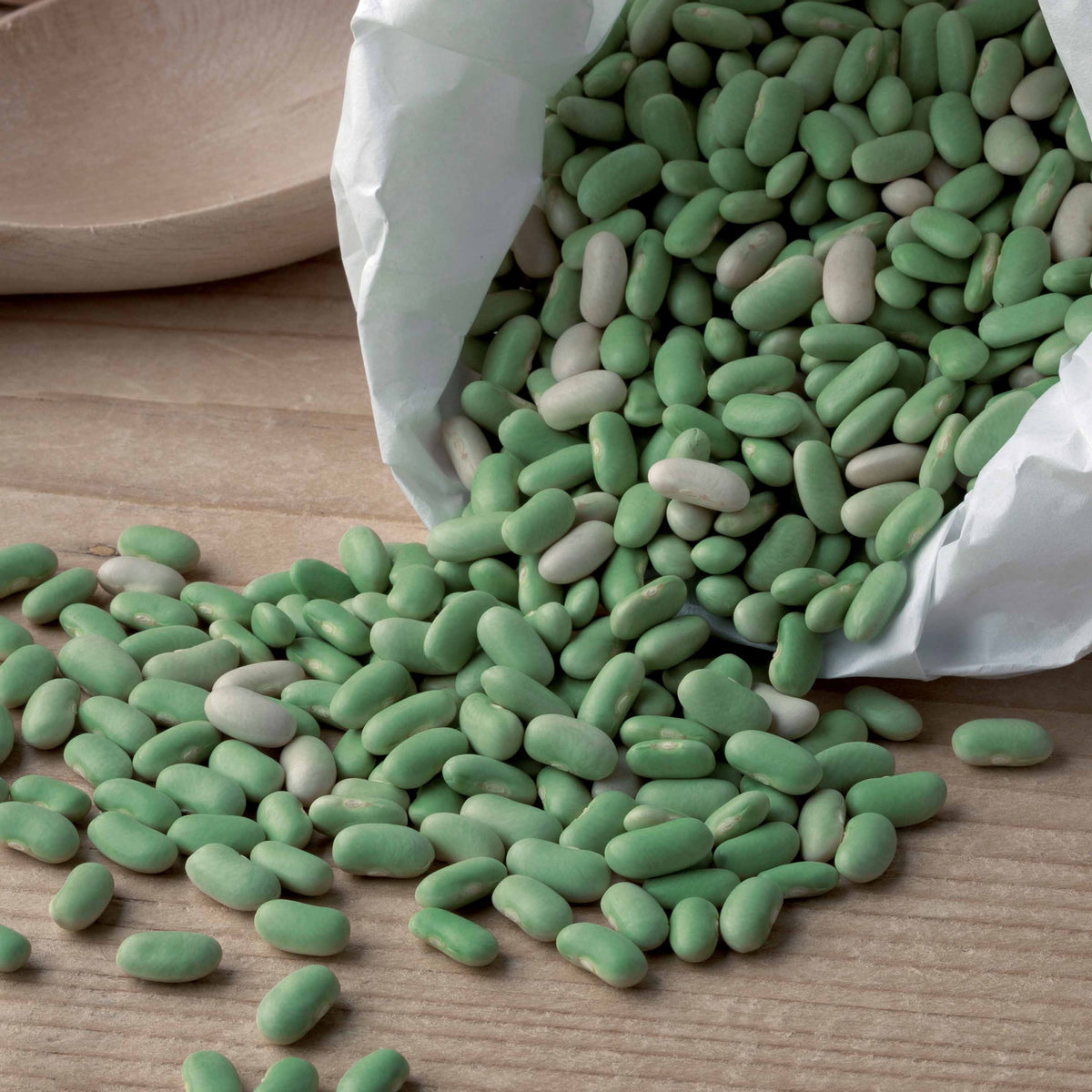 Haricot nain Flageolet Chevrier vert Flagrano - Phaseolus vulgaris chevrier vert flagrano - Bakker
