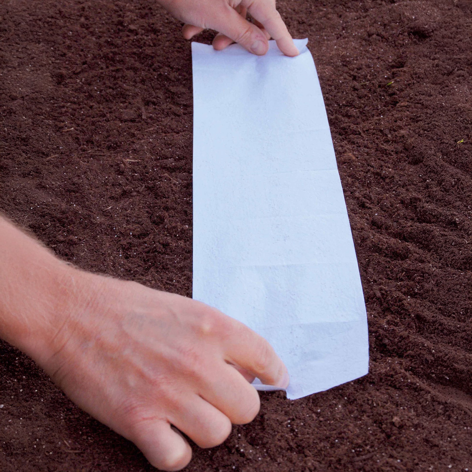 Tapis de graines de fleurs - Tapis de fleurs pour jardinière -