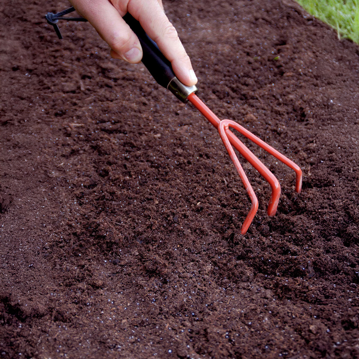 Mélange de fleurs en graines - Tapis de fleurs spécial jardinières -