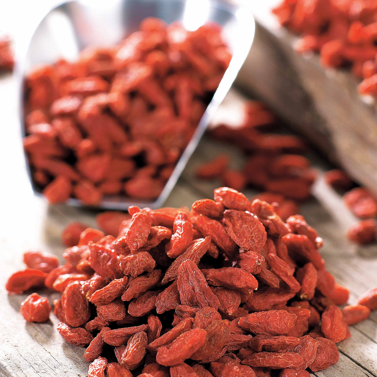 Vente Goji