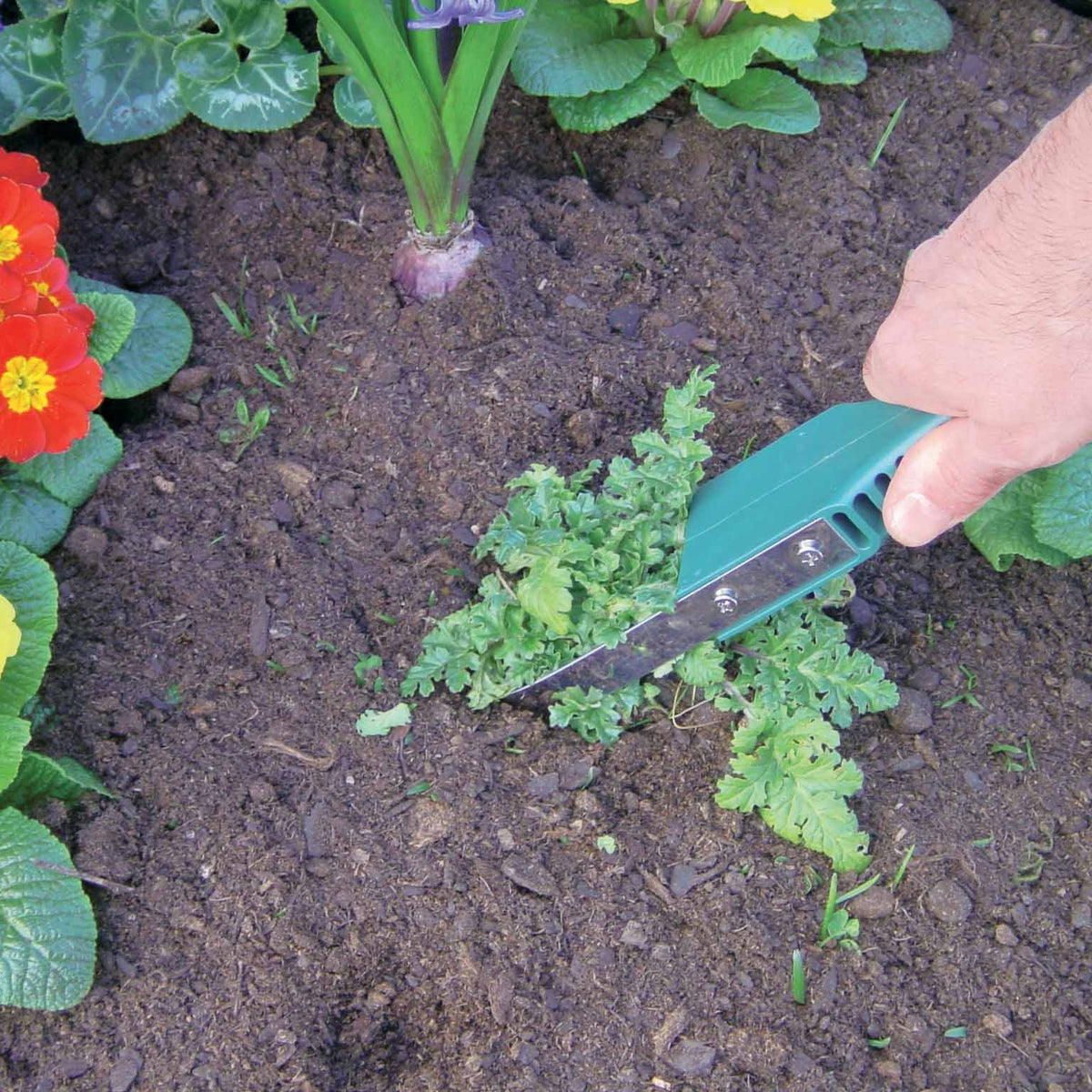Arrache mauvaises herbes - - Bakker