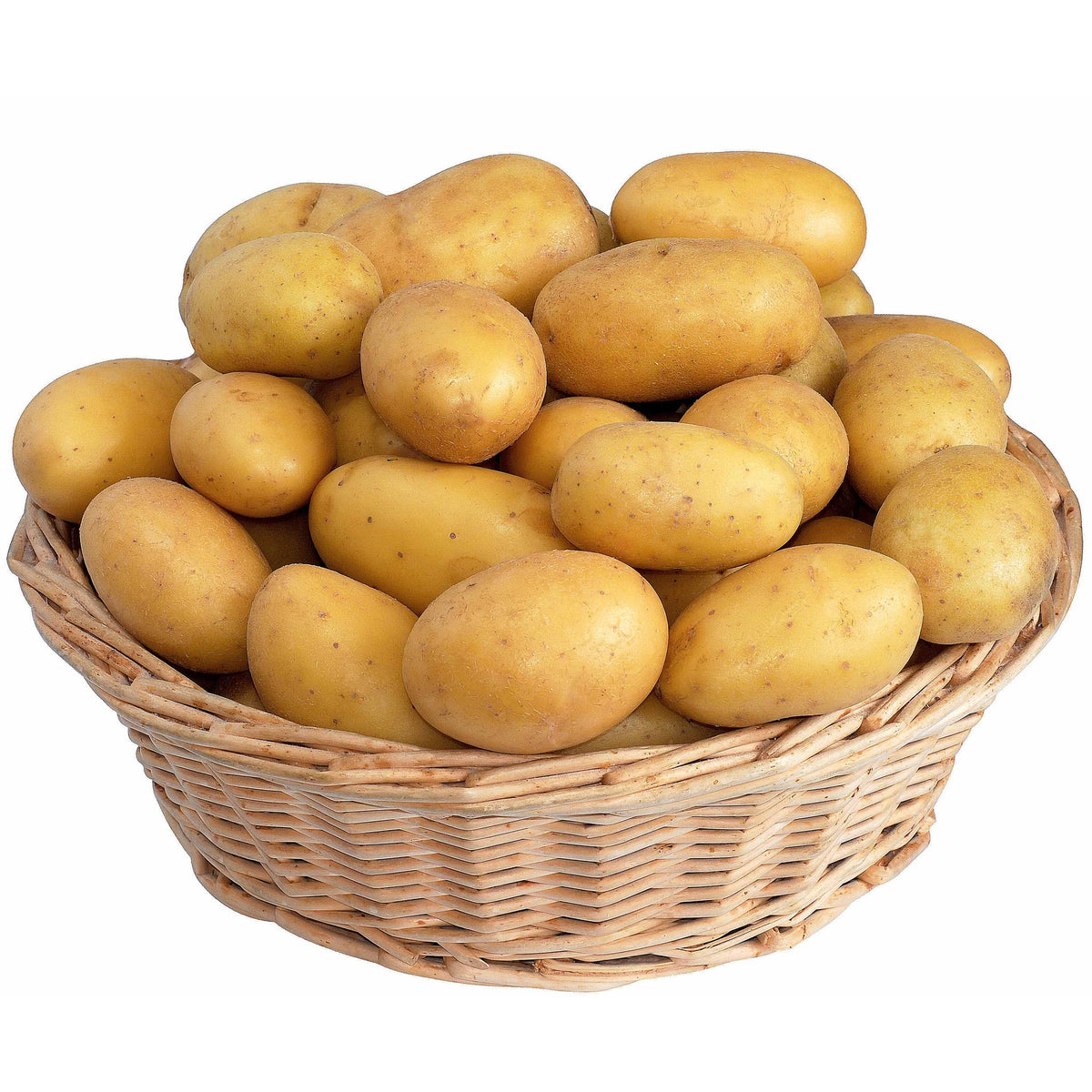 Collection de 80 pommes de terre : Amandine, Jeannette, Blanche - Bakker