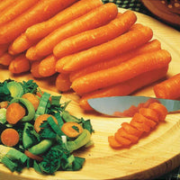 Collection de carottes : Nantaise, Carentan, Colmar - Bakker.com | France