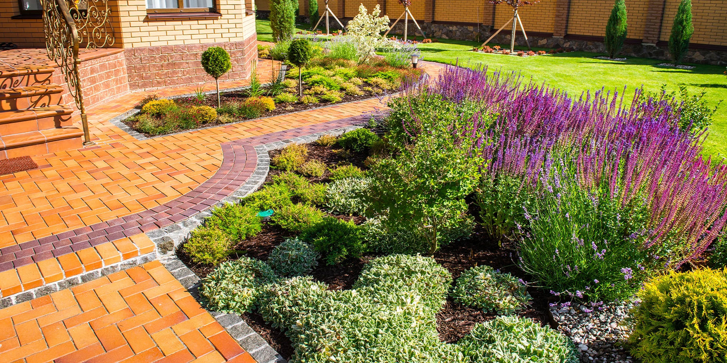 Jusqu’à -30% pour structurer votre jardin