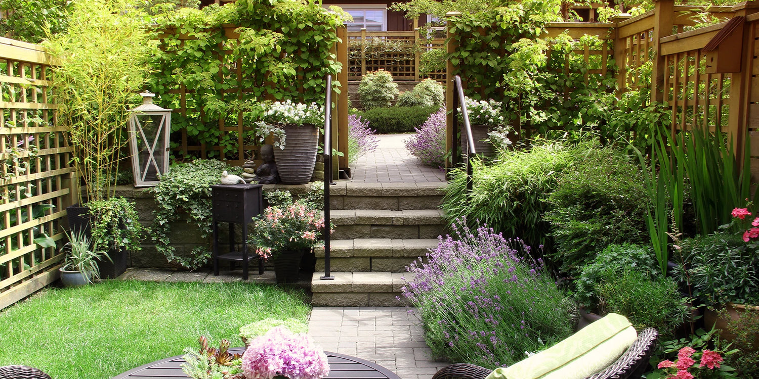 Le jardin facile : la 2ème plante à -50% !