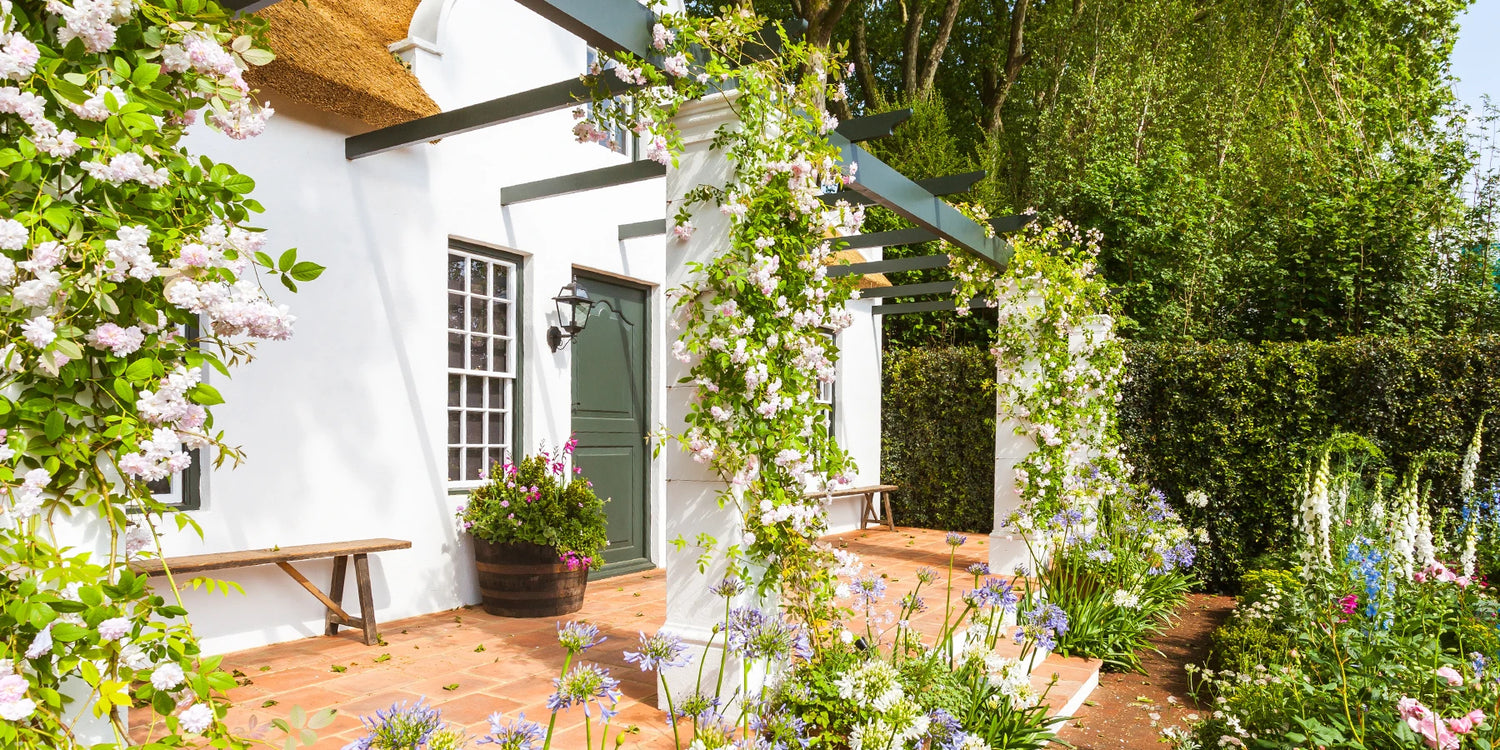 Le charme des jardins verticaux : jusqu’à -30% !