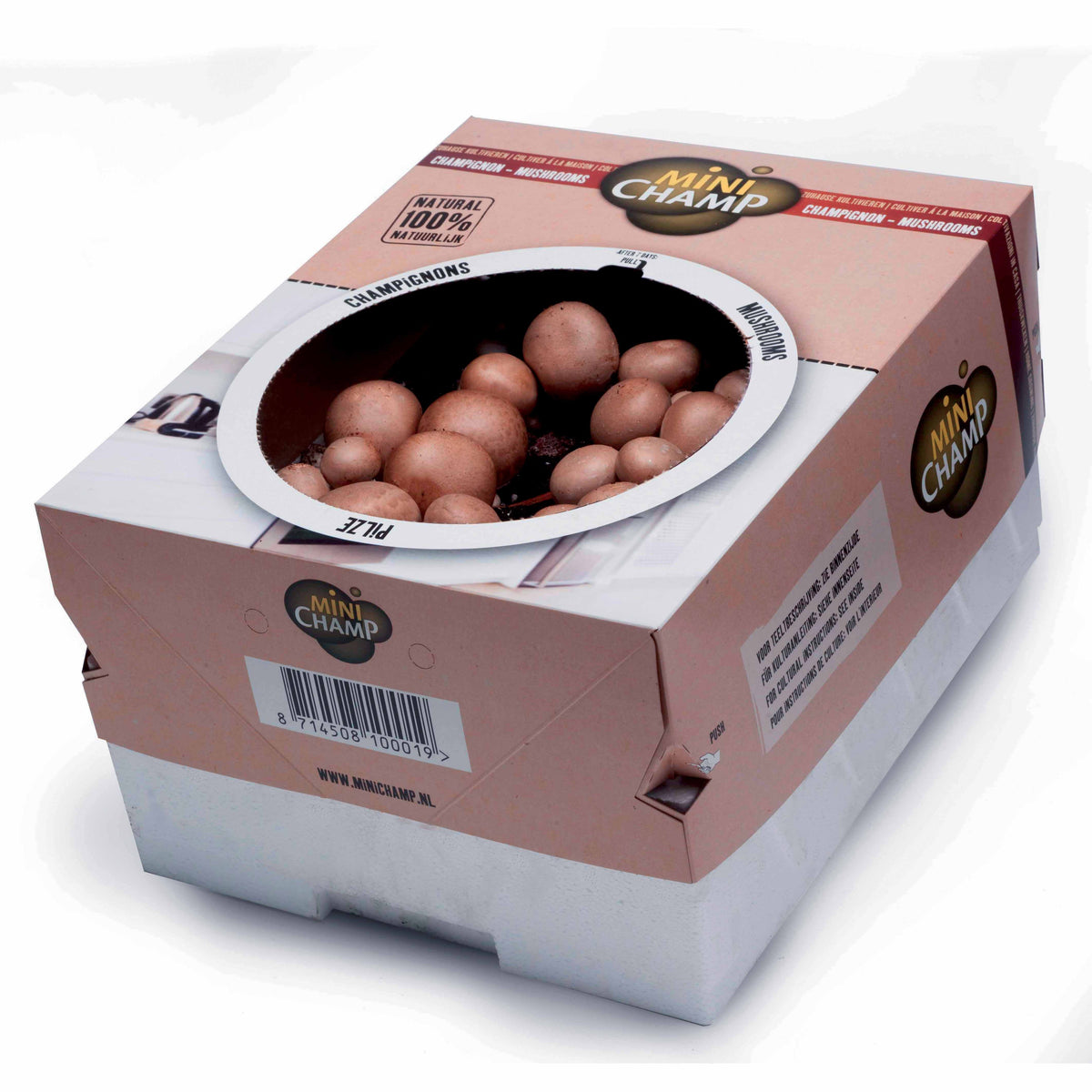 Bakker - Kit de culture de champignons brun de Paris - Agaricus bisporus avellaneus