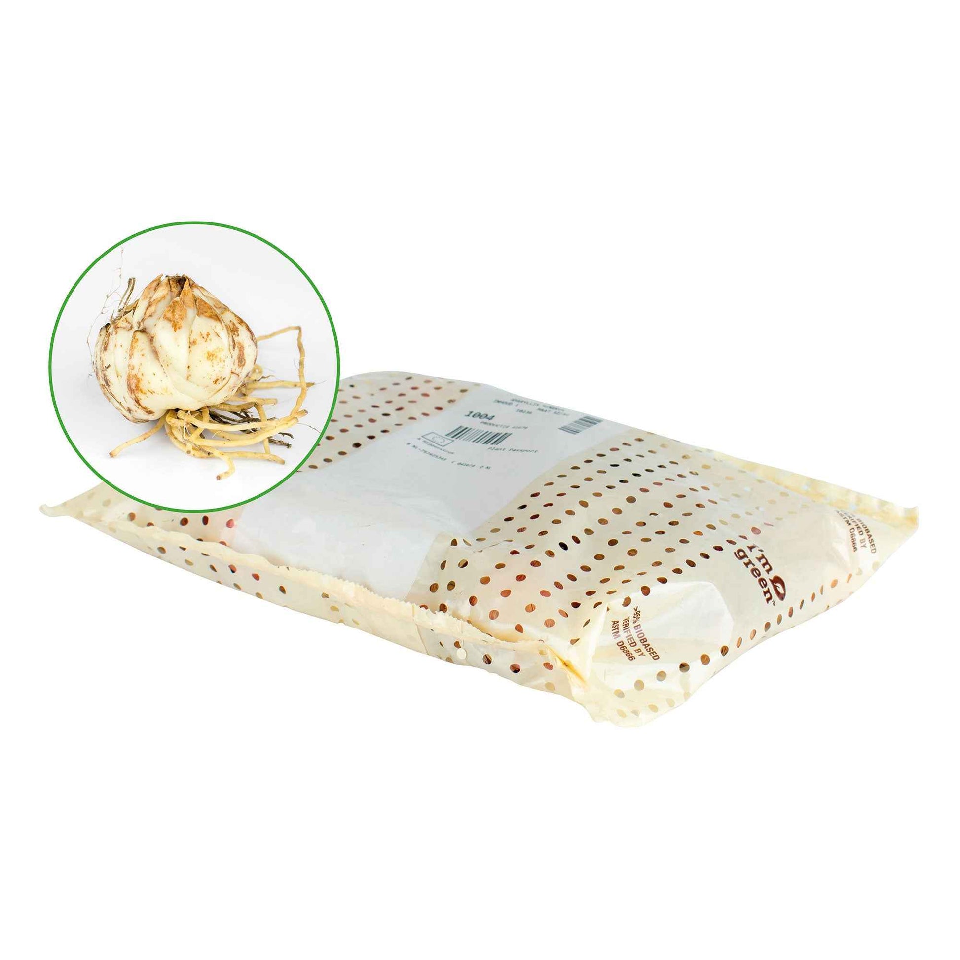 Mélange de bulbes - Ixias en mélange - Ixia