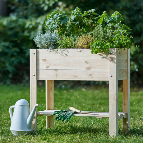 Potager : Tous nos conseils