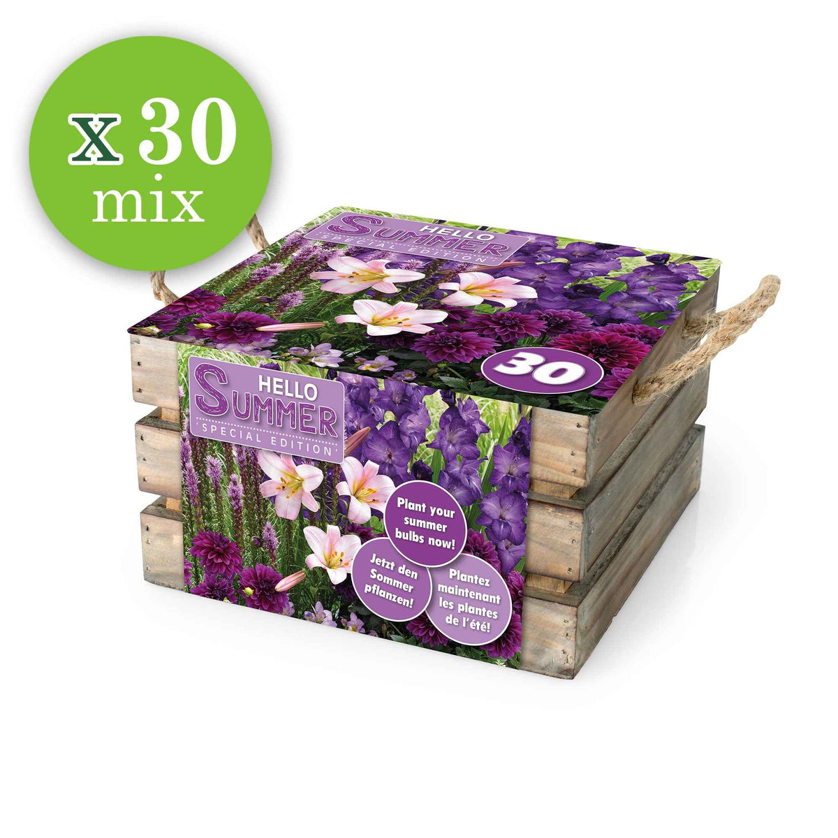 30 bulbes de fleurs Hello Summer en mélange - Dahlia, lilium, gladiolus, liatris - Bakker