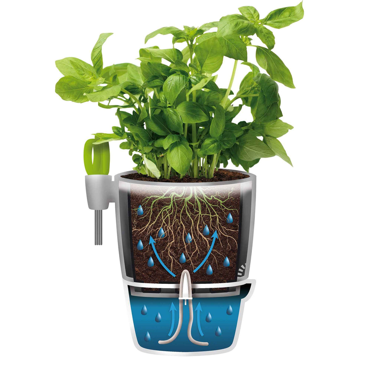 Pot d'herbes Brussels Elho Allin1 - - Bakker