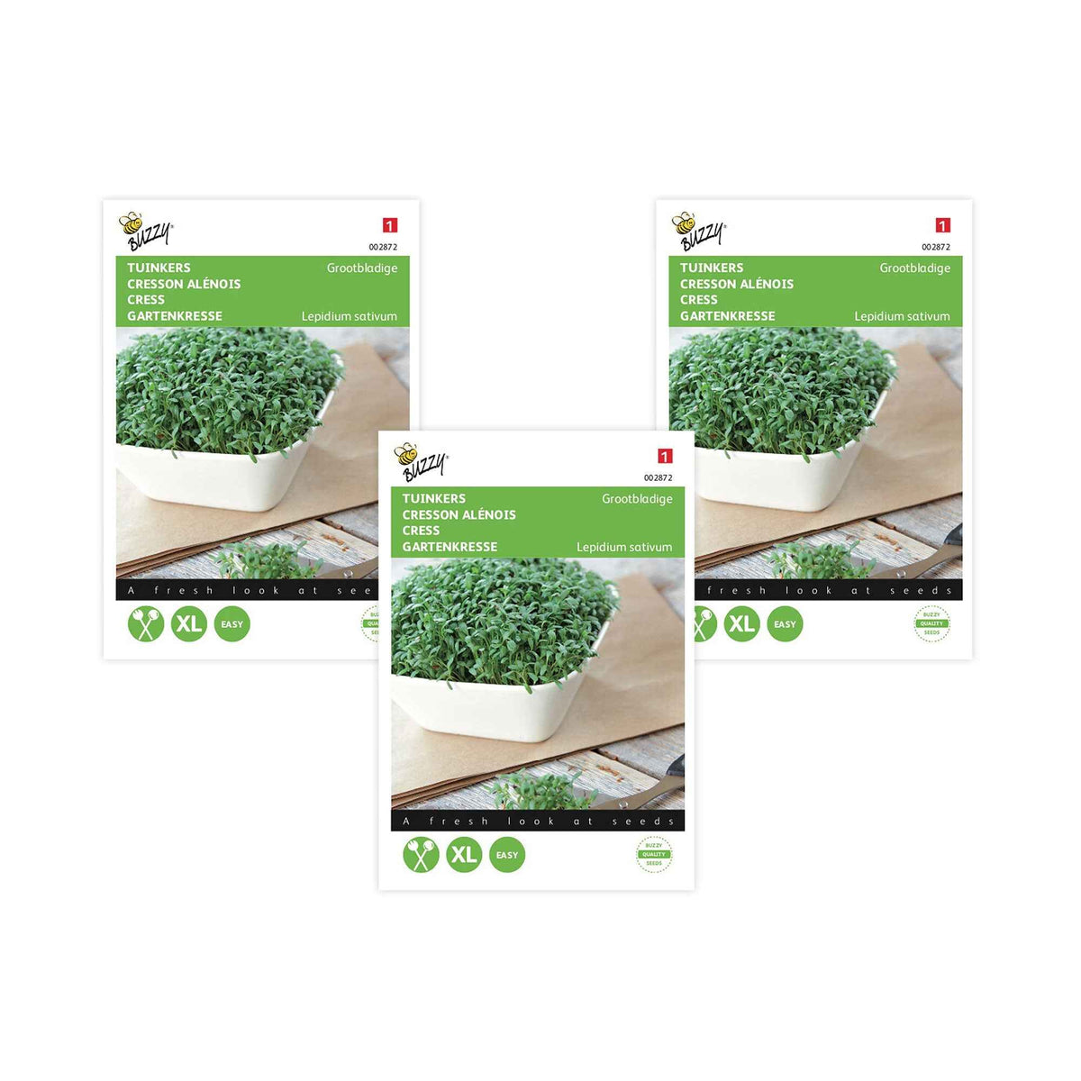 Lepidium sativum - Cresson alénois - Légumes germés