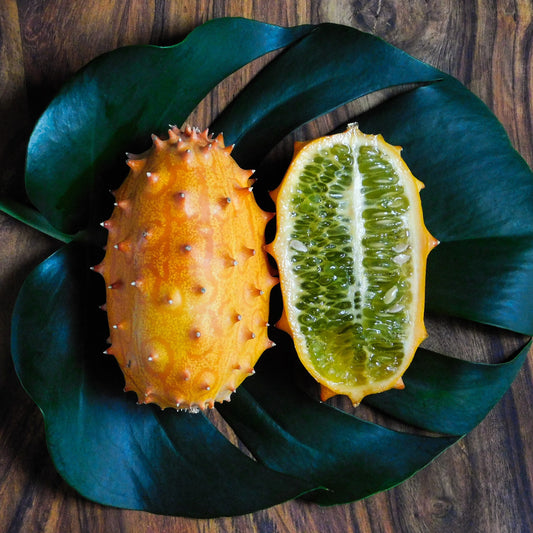 Concombre du Kenya - Metulon - Bakker