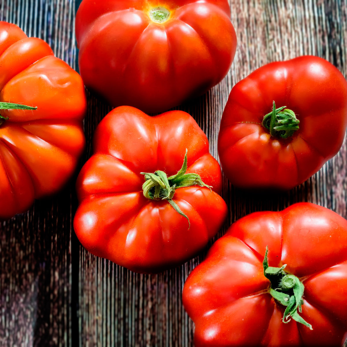 Tomate à très gros fruits Marmande - Bakker