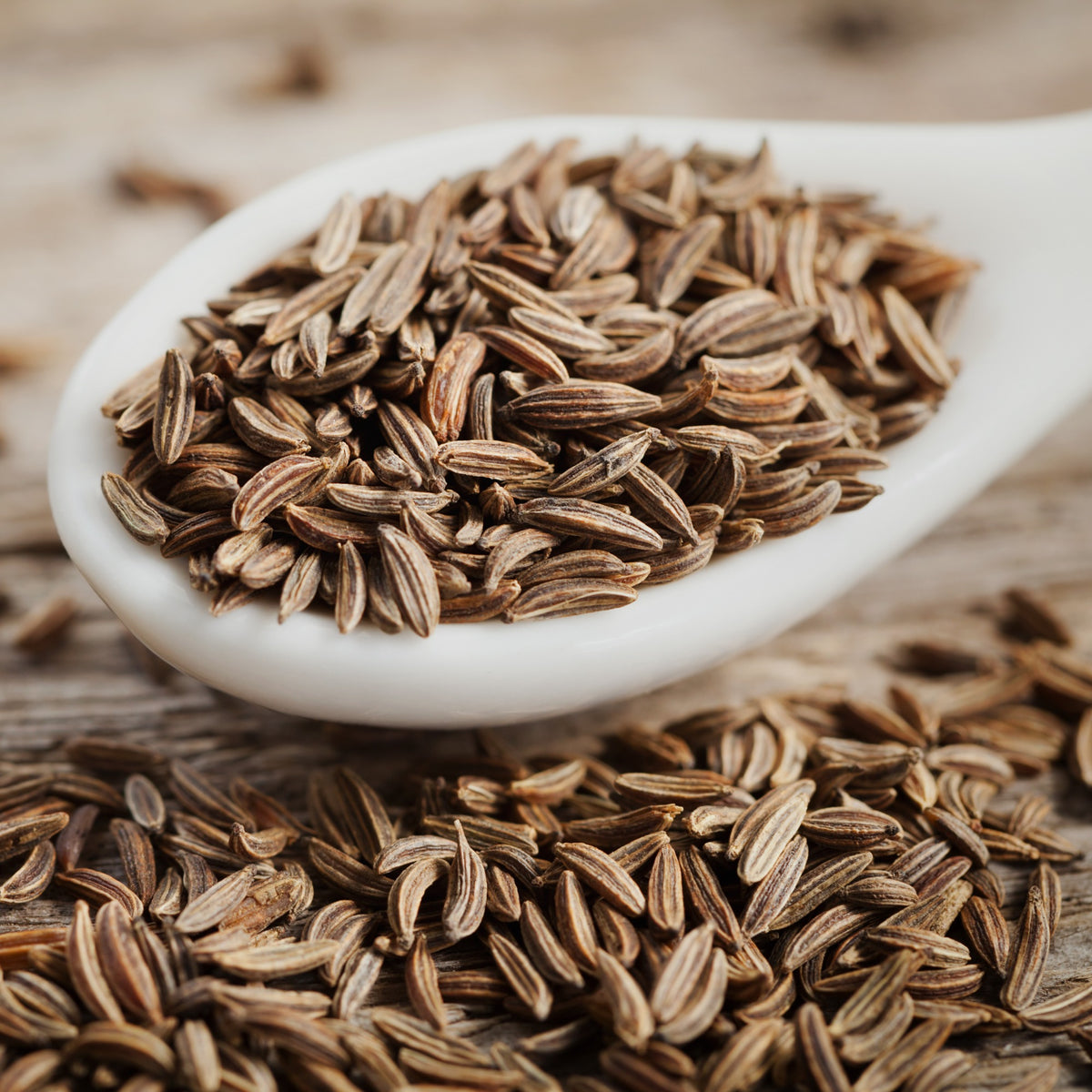 Cumin - Bakker