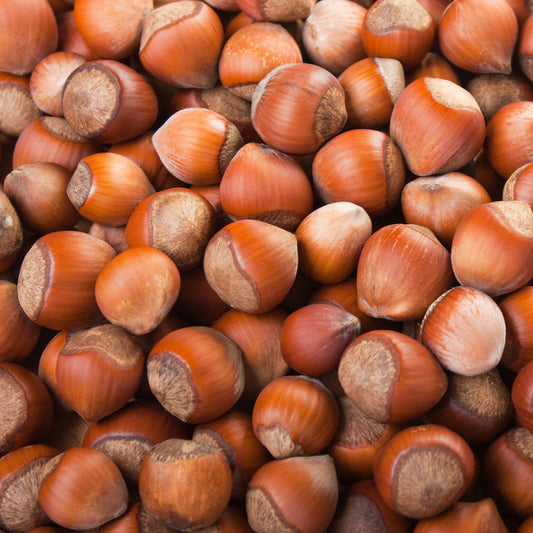 Noisetier Merveille de Bollwiller - Bakker