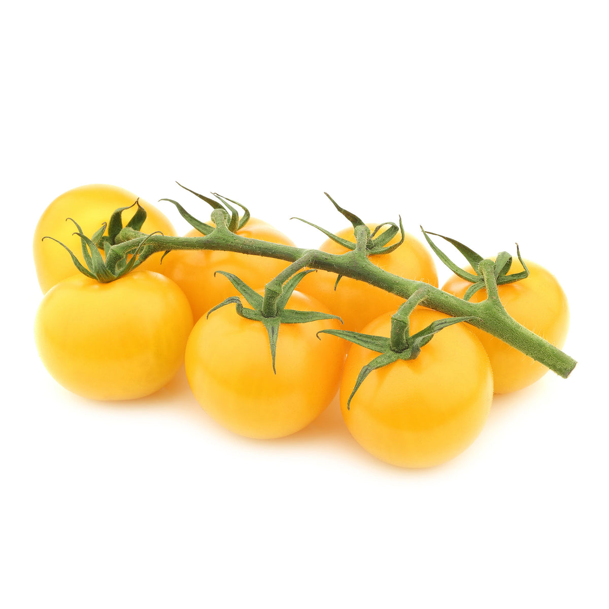 Solanum lycopersicum cocktail raisins jaunes - Tomate Cocktail Raisins jaunes - Graines de tomates