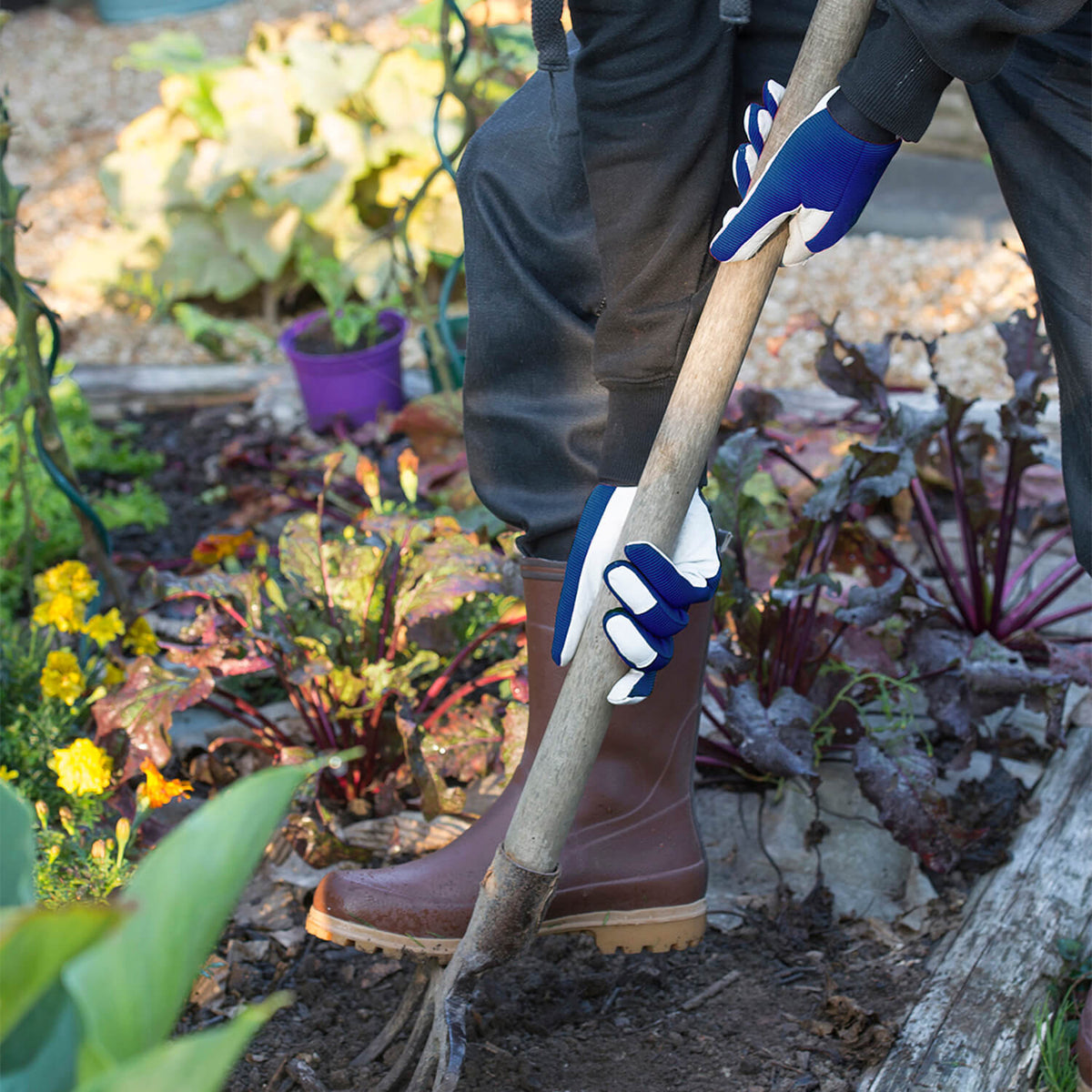 - Gant Jardy en cuir de jardin bleu marine - Equipement du jardinier