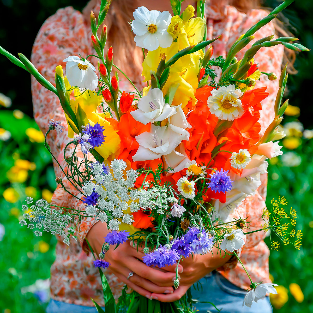 Gladiolus - Glaïeul et mélange de graines de fleurs - Bulbes de Glaïeul