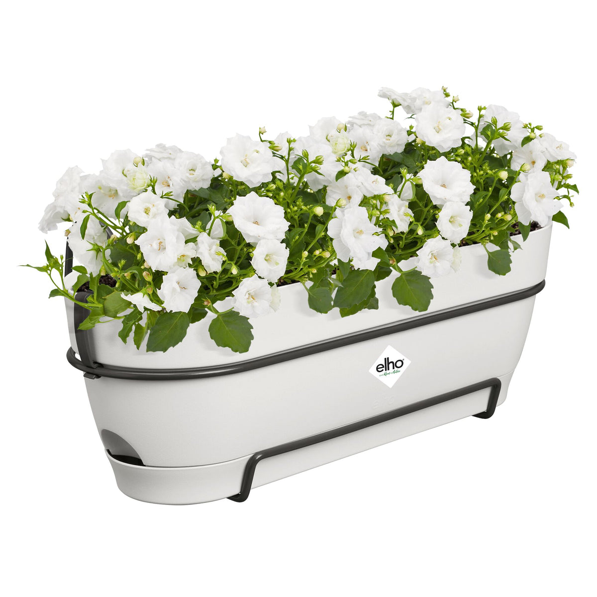 Pots de fleurs par genre - Balconière vibia campana blanc ELHO -