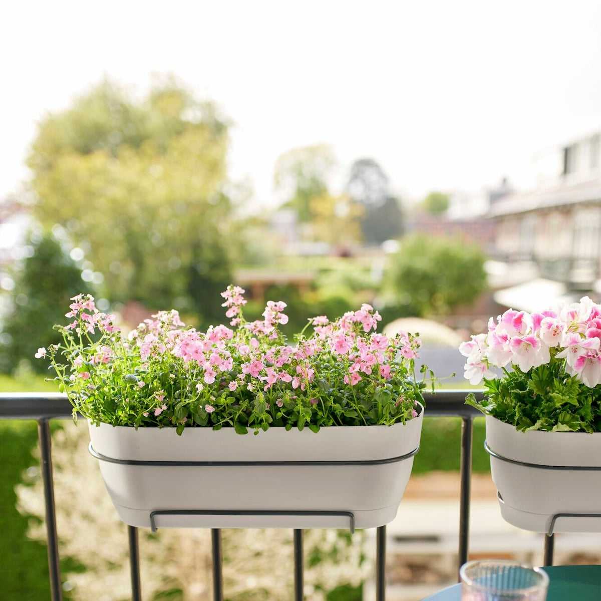 - Balconière vibia campana blanc ELHO - Pots de fleurs par genre