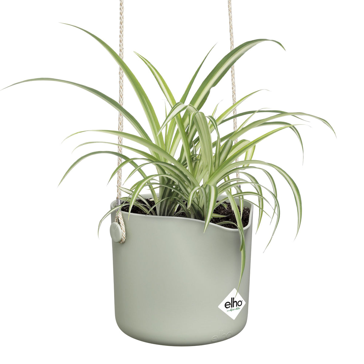 Vente Suspension B for swing vert clair ELHO -