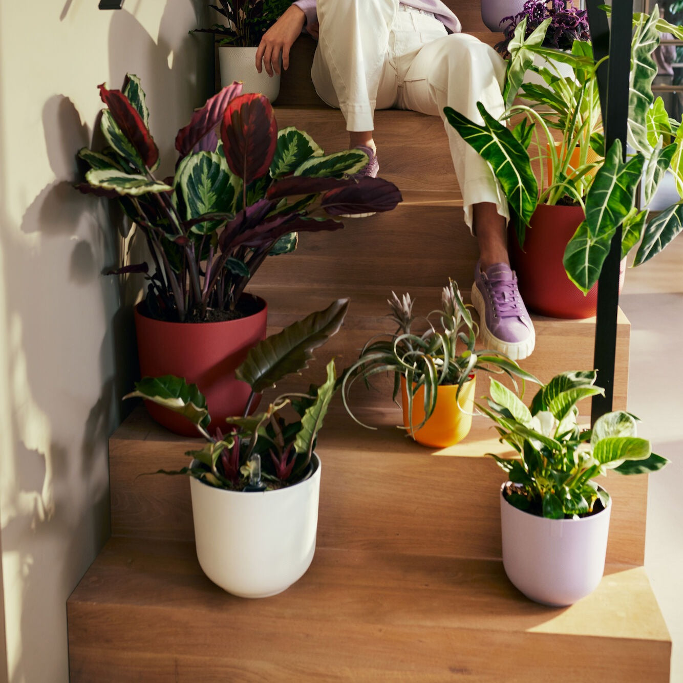 Cache-pot Jazz blanc ELHO - Pots d'intérieur et cache-pots - Bakker