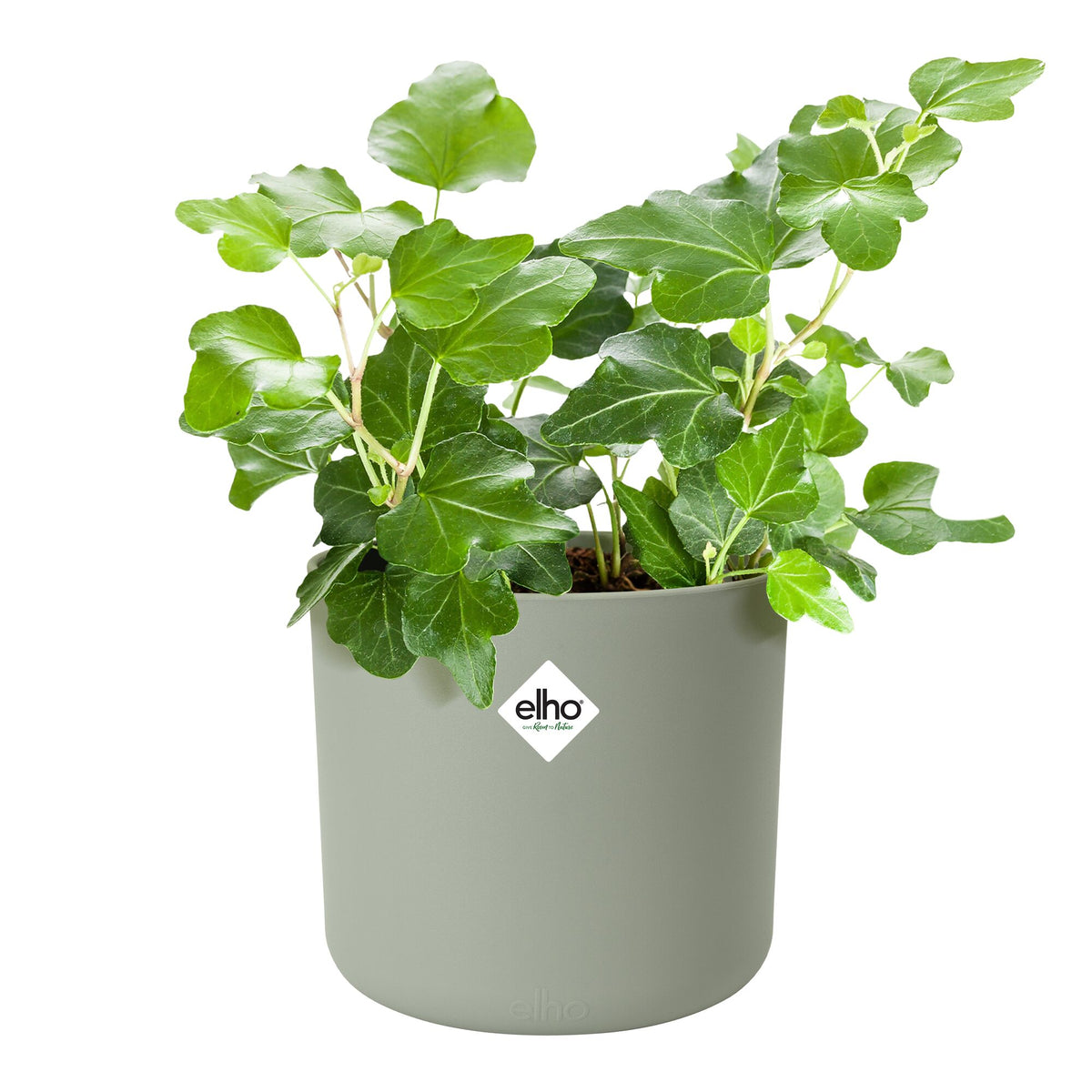 Cache-Pot Soft rond Vert pierre ELHO - - Bakker