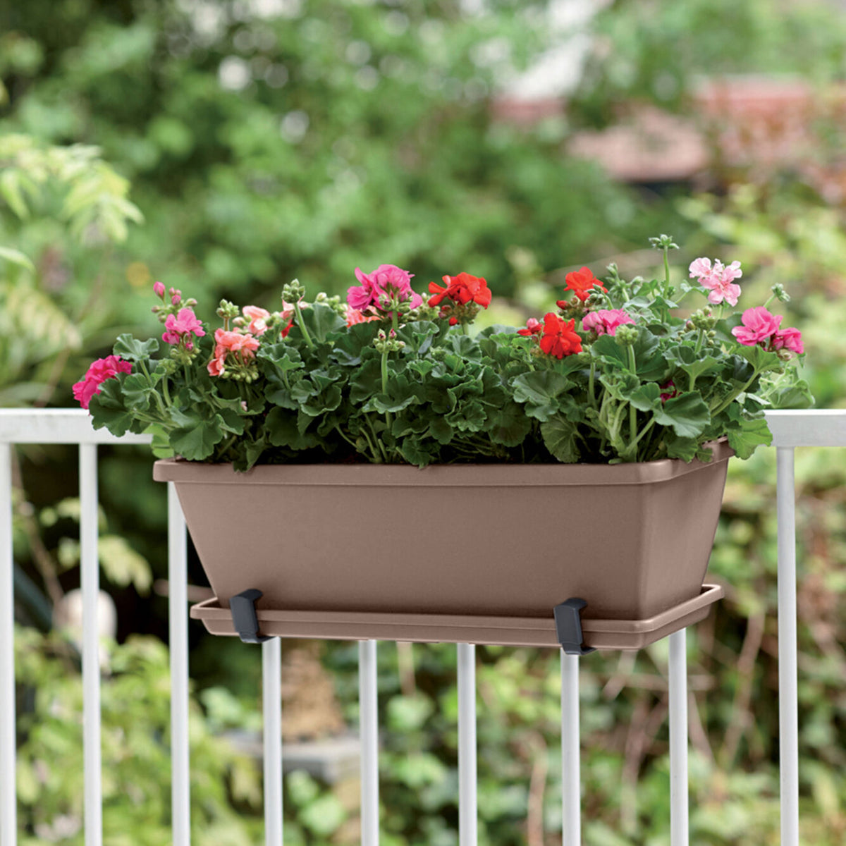 - Jardinière Barcelona Taupe ELHO - Jardinières et bacs à fleurs
