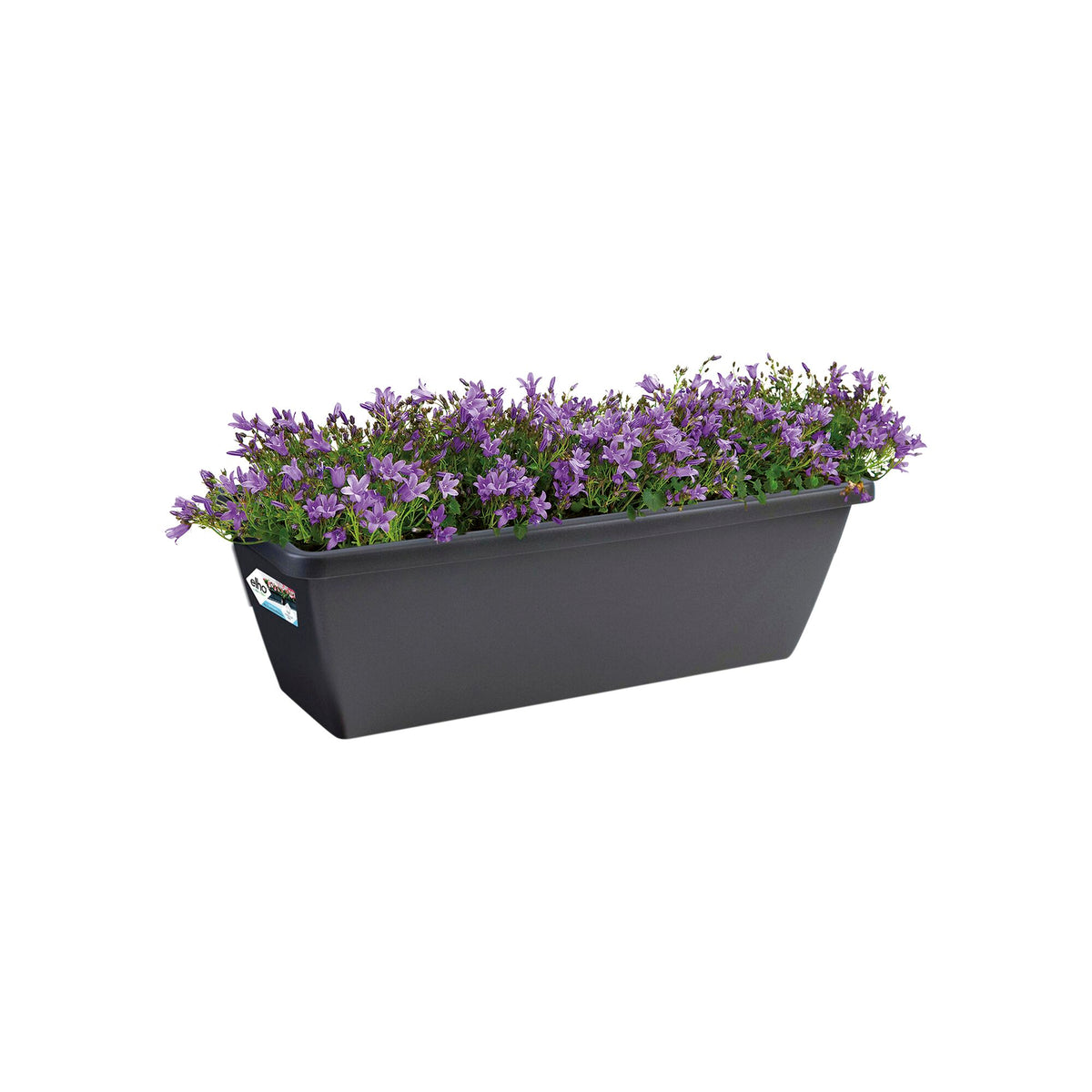 - Jardinière Barcelona Anthracite ELHO - Jardinières et bacs à fleurs