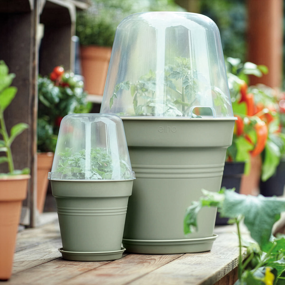 Vente Pot de culture Green Basics Vert pierre -