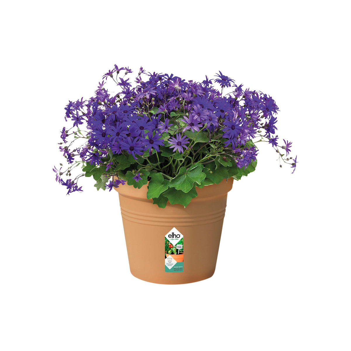 Pots d'extérieur - Pot de culture Green Basics Terre cuite -