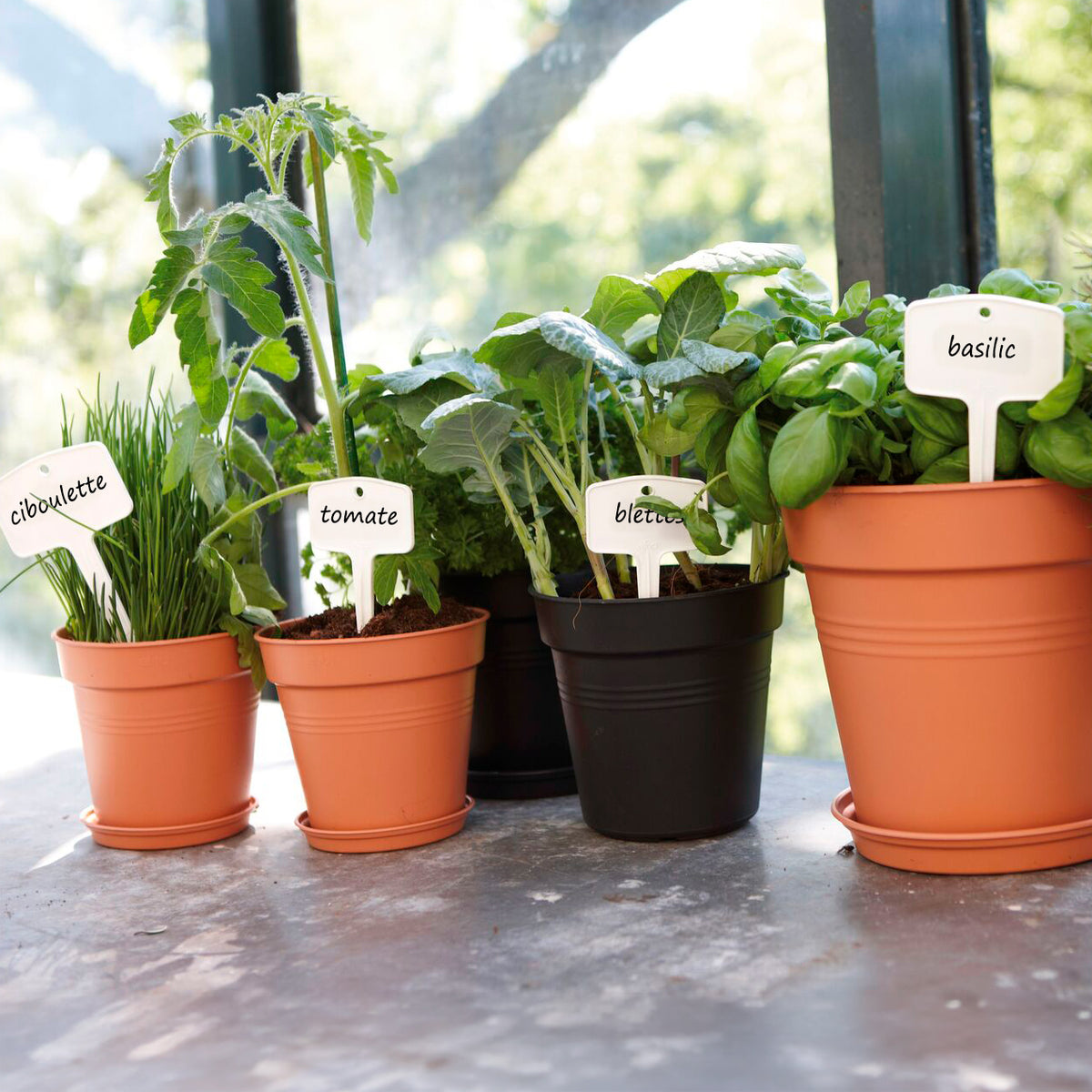 - Soucoupe Green Basics Terre cuite ELHO - Pots d'extérieur