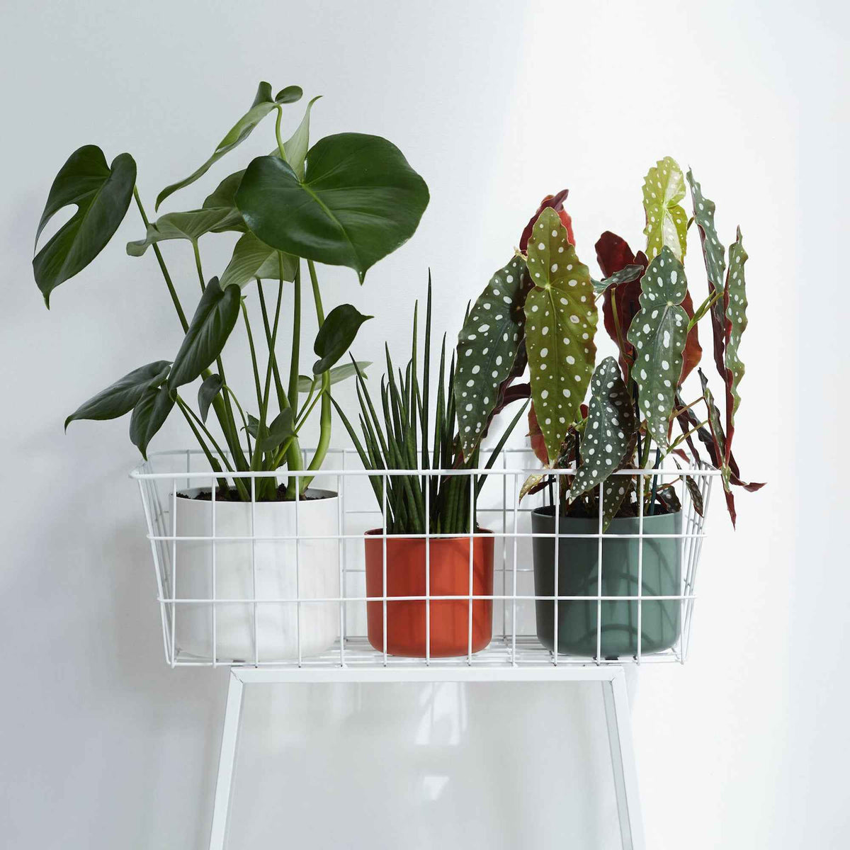 Vente Elho Pot B.for soft rond blanc -