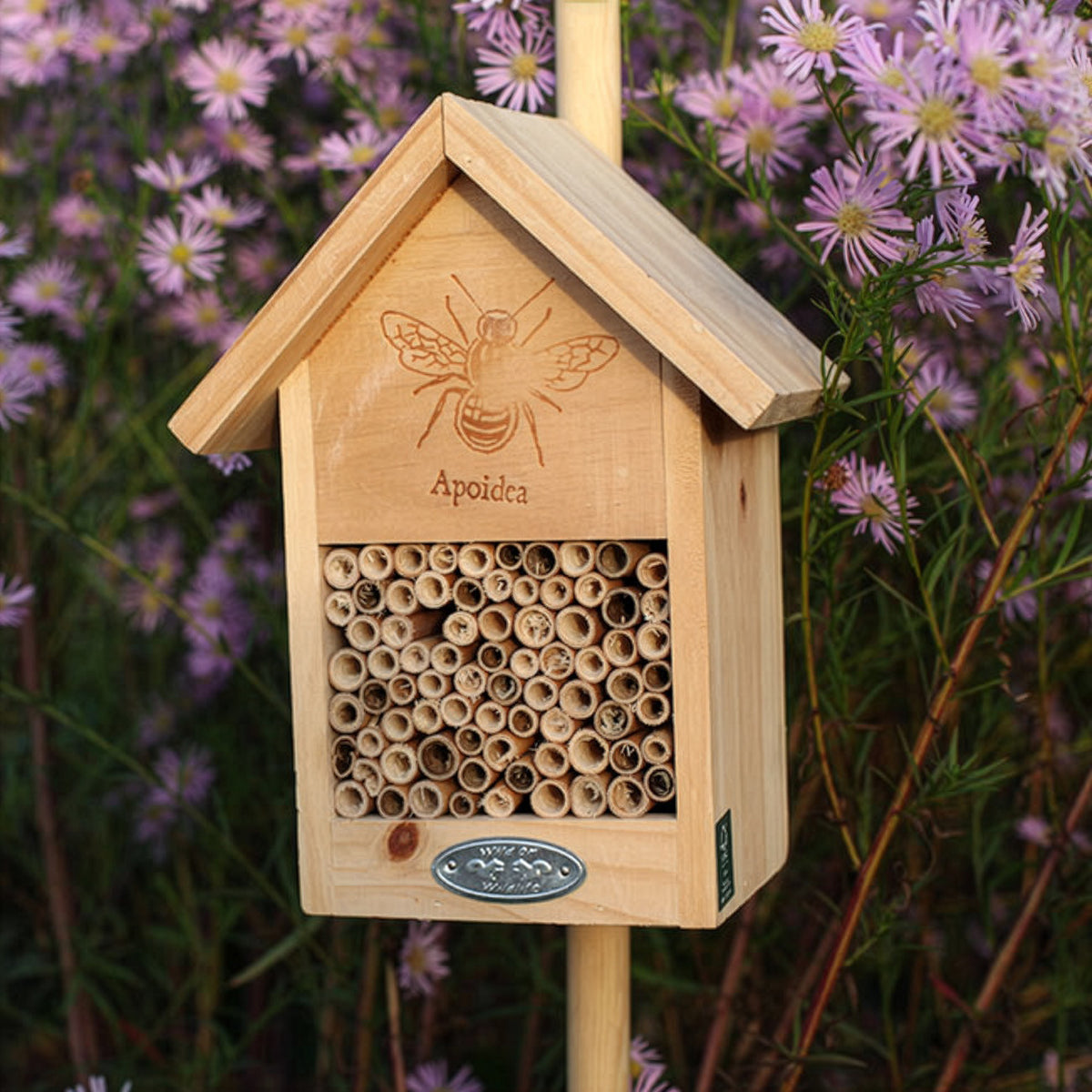 Abri pour abeilles en bois naturel