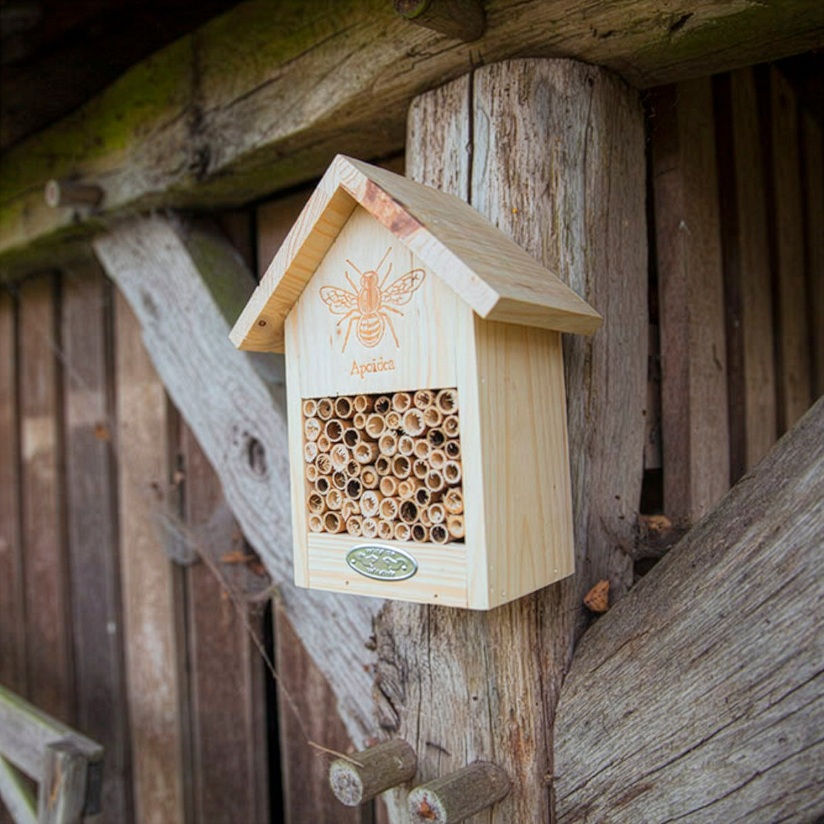 Abri pour abeilles en bois naturel