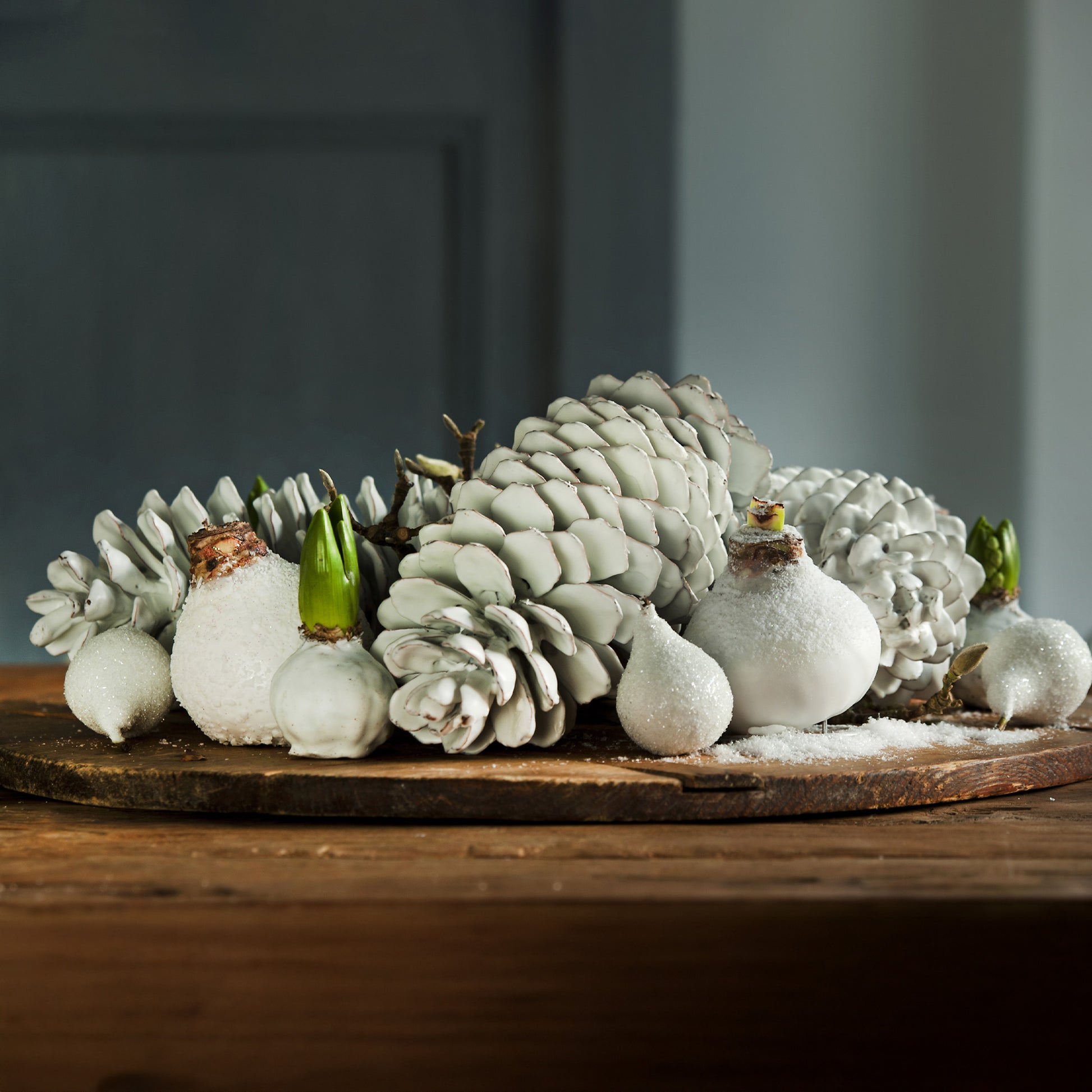 Wax  Amaryllis Magic White - Amaryllis Magic White - Bakker