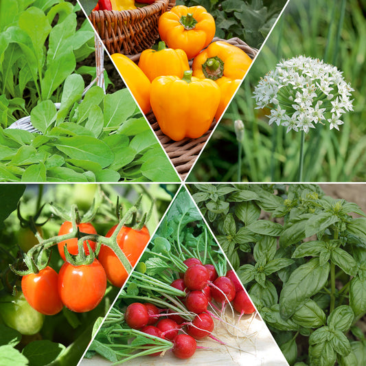 Collection de graines pour carré potager #1 - Bakker