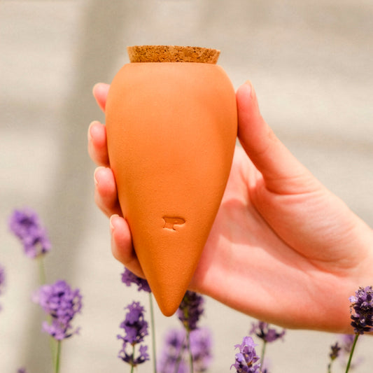 Olla hydratante Terracotta - Bakker